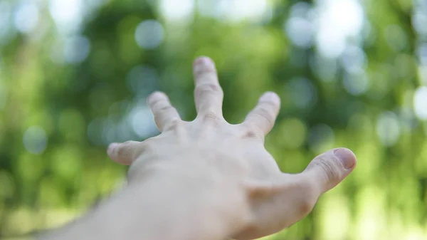Primo piano gesto mano maschile isolato su uno sfondo della foresta — Foto Stock