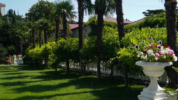 Palmiye ağaçları ve çiçeklerle büyük kase ile çim