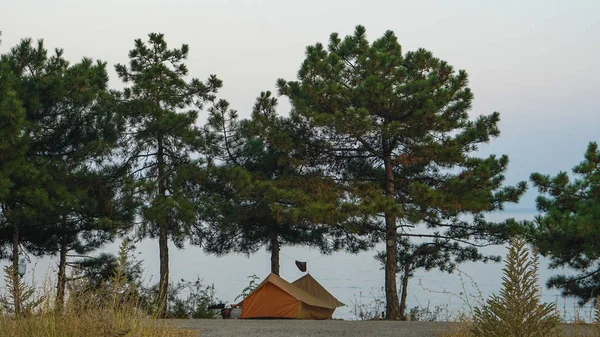 Tente touristique au sommet de la falaise parmi les pins. Belle vue sur la forêt près de la mer . — Photo