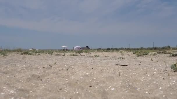 Panorama Piaszczystej Plaży Krymie Piasek Morze Niebo Szeroka Plaża Parasole — Wideo stockowe