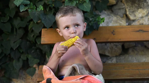 Criança séria bonito sentado no banco e comer um milho — Fotografia de Stock