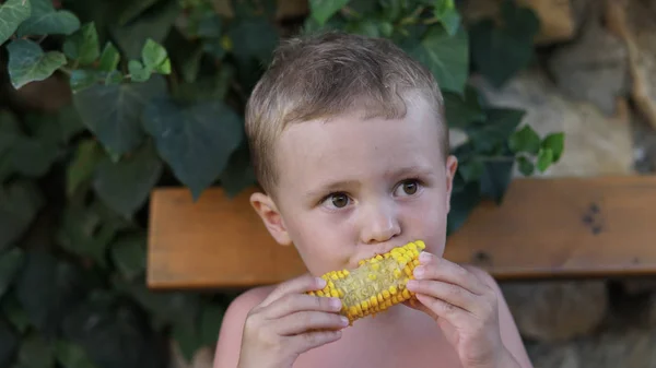 Söt allvarligt barn sitter på bänken och äta en majs — Stockfoto