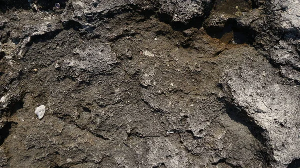 Taşlar doku ve arka plan. Kırım kaya dokusu