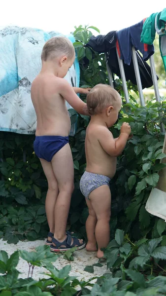 Yıkanmış giysileri kurutma ile ip yakınında bahçesinde iki küçük çocuk. — Stok fotoğraf