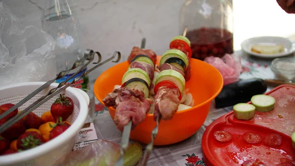 Cooking meat and vegetables on an open fire. Picnic on the air. — Stock Image Cooking meat and vegetables on an open fire. Picnic on the air. Stock Picture