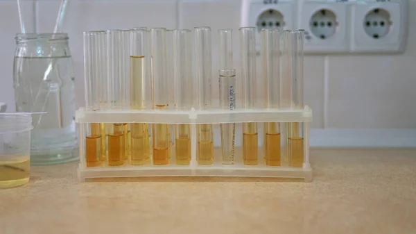 Zestaw probówek zbliżeniowych w laboratorium w uchwycie plastikowej skrzynki. — Zdjęcie stockowe