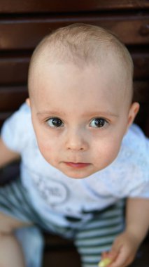 Küçük bir çocuğun portresi. Parkta hamburger yiyen bir çocuk.