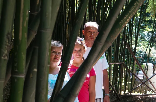 Glückliche Familie Bambushain Nikitsky Botanischen Garten Auf Der Krim Vater — Stockfoto