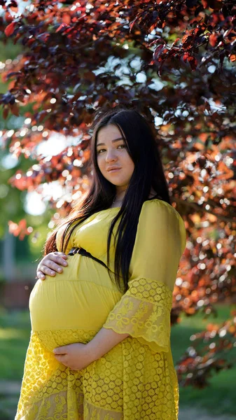 Retrato Uma Mulher Grávida Vestido Amarelo Com Cabelo Longo Quintal — Fotografia de Stock