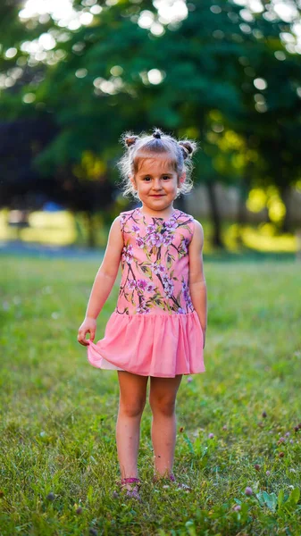 Portrét Hezké Dívky Růžových Šatech Letním Parku Dítě Stojící Zeleném — Stock fotografie