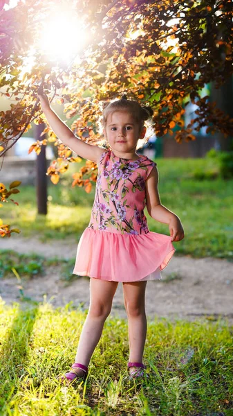 Portret Van Mooi Meisje Roze Jurk Zomerpark Kind Staat Met — Stockfoto