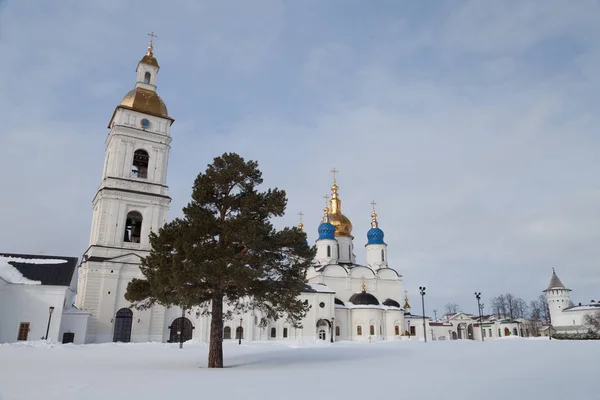 Tobolsk Rusya bir şehirdir. Tobolsk Kremlin.