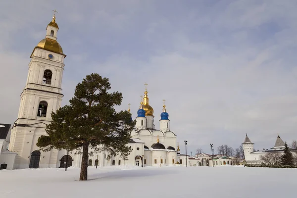 Tobolsk Rusya bir şehirdir. Tobolsk Kremlin.