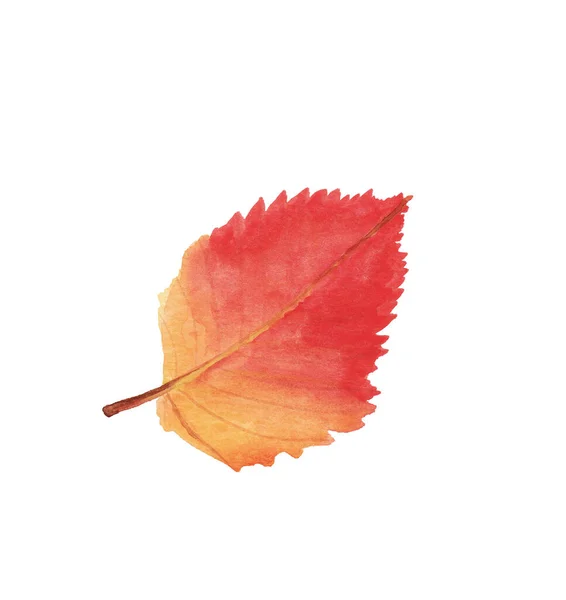 Illustration aquarelle. Gros plan de la feuille rouge d'automne. Fond de saison. Modèle d'automne. Isolé sur fond blanc. Feuille colorée rouge et jaune feuille d'automne. Contexte abstrait . — Photo