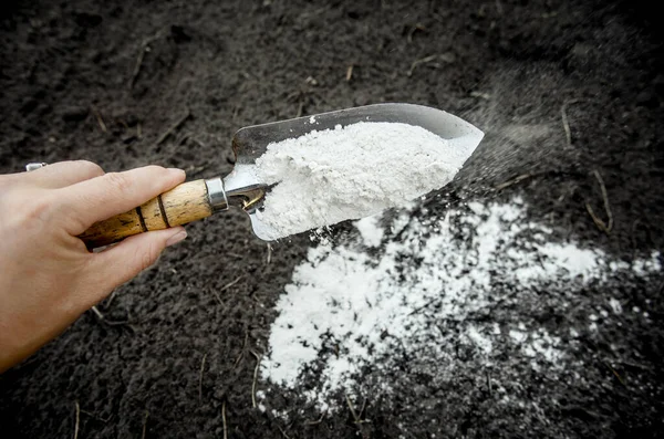 Jardinero Mezclando Polvo Piedra Caliza Dolomítica Suelo Del Jardín Para — Foto de Stock