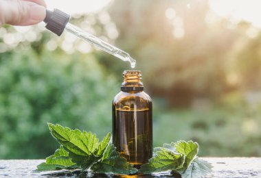Vahşi organik Urtica dioica, yaygın ısırgan otu, küçük kahverengi cam şişede ısırgan otu tentürü. Kadın damlatıcıyla takılıyor. Yaşam tarzı görüntüsü, kopyalama alanı ile bokeh arkaplan.