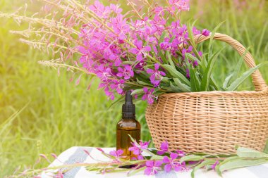 Chamaenerion angustifolium buketi, ateş otu, büyük willowhere, rosebay willowhere, Saint Anthony 's Laurel: Hasır sepetin yanında tütsü iksiri şişesi olan pembe şifalı çiçek.