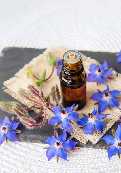 Selektiver Fokus Auf Borago Officinalis Borago Oder Borretsch Tinktur Flasche — Stockfoto