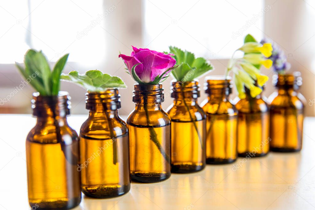 Selective focus lot on fresh herbs in small vintage bottles in a row. Essential oil concept. Blurred white window with glowing daylight background. Lavender, rose, cowslip, lady's mantle, peppermint.