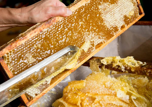 Extracting Honey Honeycomb Concept Close View Beekeeper Cutting Wax Lids — Stock Photo, Image