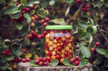 Crataegus monogyna, bilinen adıyla şahin dikeni veya tıbbi amaçlar için alkole batırılmış tek tohumlu şahin üzümü. Bitkisel ilaç solüsyonu yapıyorum..