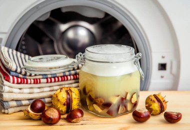 Doğal sıvı çamaşır sabunu yap. At kestanesini sırılsıklam etmek, Aesculus, suda karabatak, temizlik maddesinin doğal özünü içeren cadı. Çamaşır makinesinin önündeki kavanoz kabı..