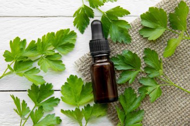 Maydanozdan (Petroselinum crispum) yapılan ev yapımı şifalı bitkisel tentür. Yeşil yapraklar ve kahverengi pipet şişesi kompozisyonu. Beyaz tahta arka plan.