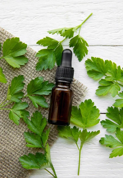 Maydanozdan (Petroselinum crispum) yapılan ev yapımı şifalı bitkisel tentür. Yeşil yapraklar ve kahverengi pipet şişesi kompozisyonu. Beyaz tahta arka plan.