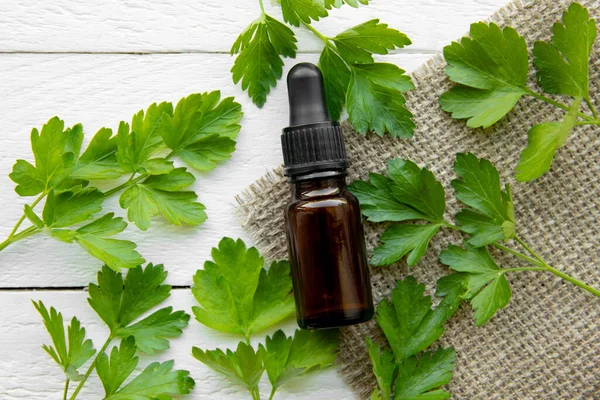 Maydanozdan (Petroselinum crispum) yapılan ev yapımı şifalı bitkisel tentür. Yeşil yapraklar ve kahverengi pipet şişesi kompozisyonu. Beyaz tahta arka plan.