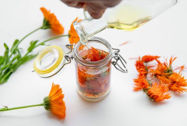 Ev yapımı Calendula resmi marigold soğuk infüzyon yağı yapmak. Çiçekler, yararlı bileşiklerini elde etmek için birkaç hafta boyunca oda sıcaklığında zeytinyağına bulanırlar..