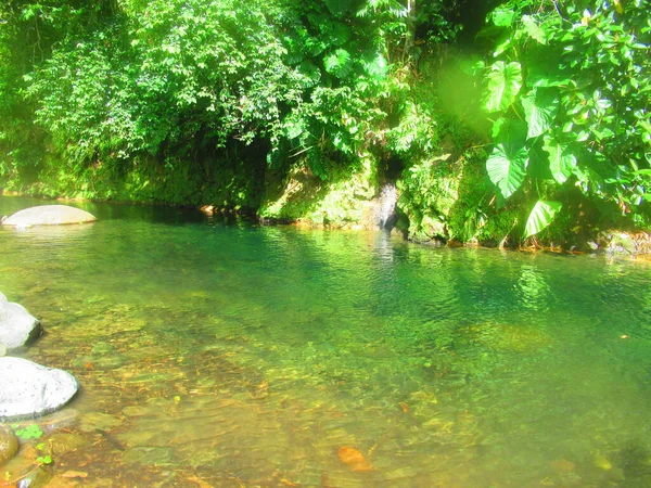 Nehir Yemyeşil Tropikal Ormanda Akıyor — Stok fotoğraf