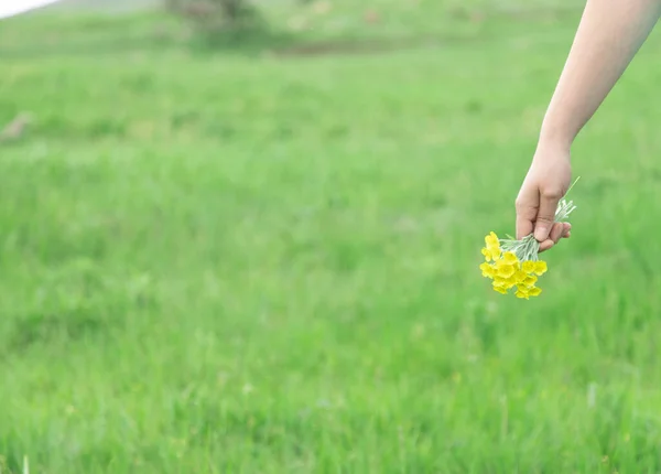 Žena Ruka Žluté Květy Přírodě — Stock fotografie