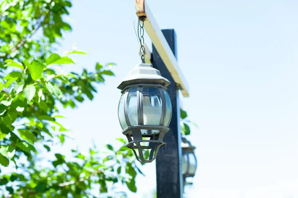 lamp in the yard in trees background