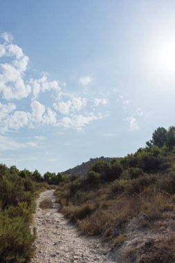 Güneşli bir yaz gününde bulutlu bir gökyüzü olan dağda çalılarla çevrili bir patika.