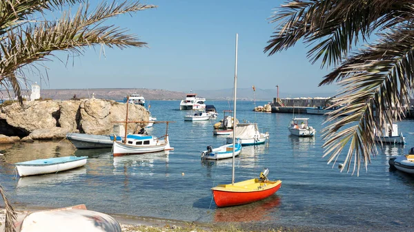 Landschaft Tabarca Insel Strand Mit Vielen Booten Voller Palmen Einem — Stockfoto