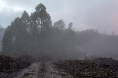 Ormansız dağlarda yol yağmurlu ve soğuk bir günde
