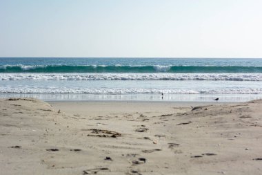 Güzel bir yaz gününde kumsaldan sahile ayak sesleri