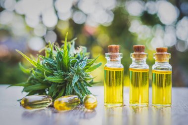 Küçük şişelerde kenevir yağı ürünleri. Kenevir yağı, taze kenevir özünden elde edilen CBD. Yeşil marihuana arka planı. Metin girmek için boşluk var.
