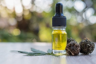 Kenevir yağı şişesi CBD ve marihuana briketi masaya alternatif tıp kavramlarını koydu..