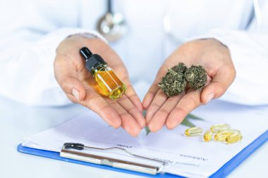 Bir doktor ya da araştırmacının elinde bir şişe CBD yağı ve esrar. Bir tıbbi ekip ya da araştırmacı. CBD kenevir yağı kavramı kenevir ürünleri, yakın çekim ilaçları olarak kullanılan ürünlerdir..