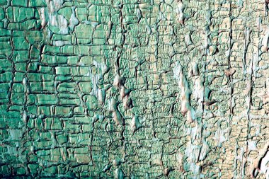 eski mavi kurulu kırık boya, vintage ahşap arka plan, grunge tahta ile. Eski ahşap arka plan ağaç eski boya artıkları parçaları kalıntıları ile. Doku eski ağaç bir kurulu ile boya, antika arka plan boya soyulmuştu. eski mavi kurulu SRA ile