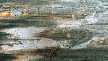 Parlak bir doku ile eski bir ahşap duvar arka plan. ahşap tahta doku duvar seçili rengi boya ultraviyole ile arka plan