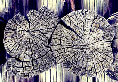 Eski ahşap doku doğal desenleri ile. Eski ağaç kesiti