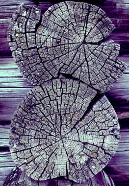 Eski ağaç kesiti. Ahşap tahta doku duvar seçili rengi ile arka plan. Parlak bir doku ile eski bir ahşap duvar arka plan. ultraviyole boya