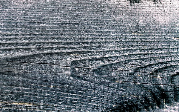 A textura de madeira velha com padrões naturais. Dentro do fundo da árvore. Velho grungy e resistido cinza pranchas de parede de madeira textura fundo — Fotografia de Stock