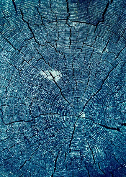 Eski ağaç kesiti. Ahşap tahta doku duvar seçili rengi ile arka plan. Parlak bir doku ile eski bir ahşap duvar arka plan. ultraviyole boya