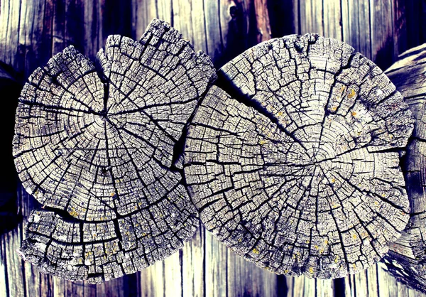 Eski ahşap doku doğal desenleri ile. Eski ağaç kesiti