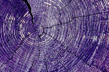 Parlak bir doku ile eski bir ahşap duvar arka plan. Ahşap tahta doku duvar seçili rengi boya ultraviyole ile arka plan. Eski ağaç kesiti