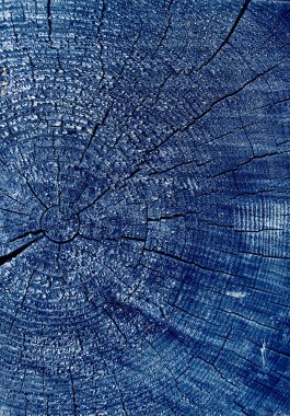 Parlak bir doku ile eski bir ahşap duvar arka plan. Ahşap tahta doku duvar seçili rengi boya ultraviyole ile arka plan. Eski ağaç kesiti