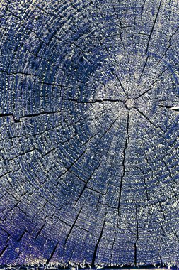 Eski ahşap doku doğal desenleri ile. Eski ağaç kesiti. koyu renkli ahşap dokusu. doğal arka plan. boş şablon